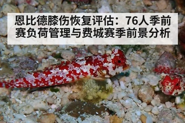 恩比德膝伤恢复评估:76人季前赛负荷管理与费城赛季前景分析
